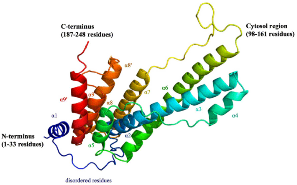 mpr-9-3-367-g2