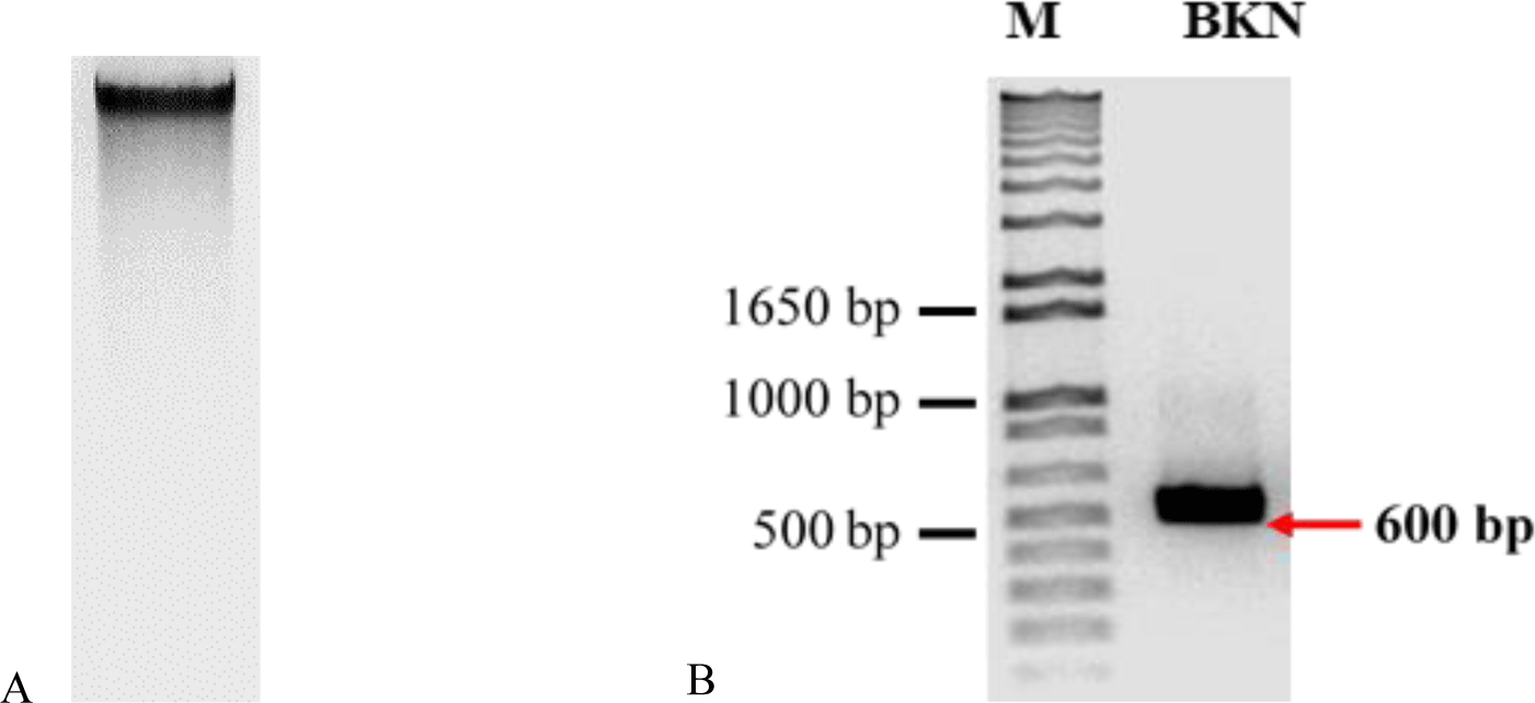 mpr-3-2-8-g6